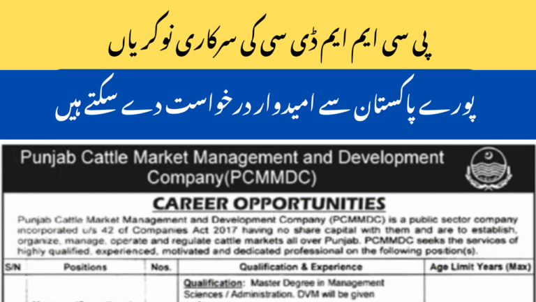 Punjab Cattle Market Management and Development Company PCMMDC Jobs 2025