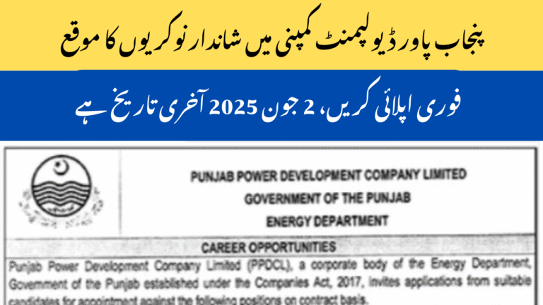 Punjab Power Development Company Jobs 2025 – PPDCL Jobs Apply Online